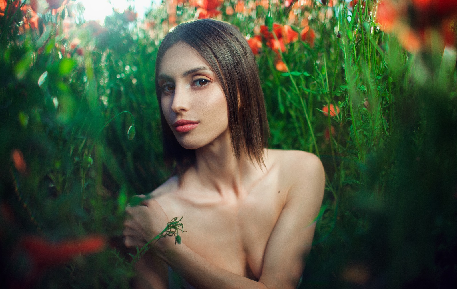 1600px 02