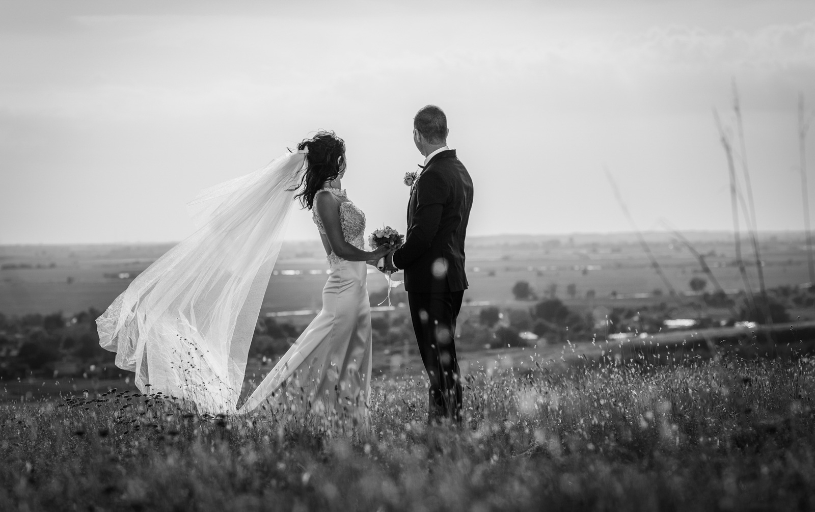 Wedding 226