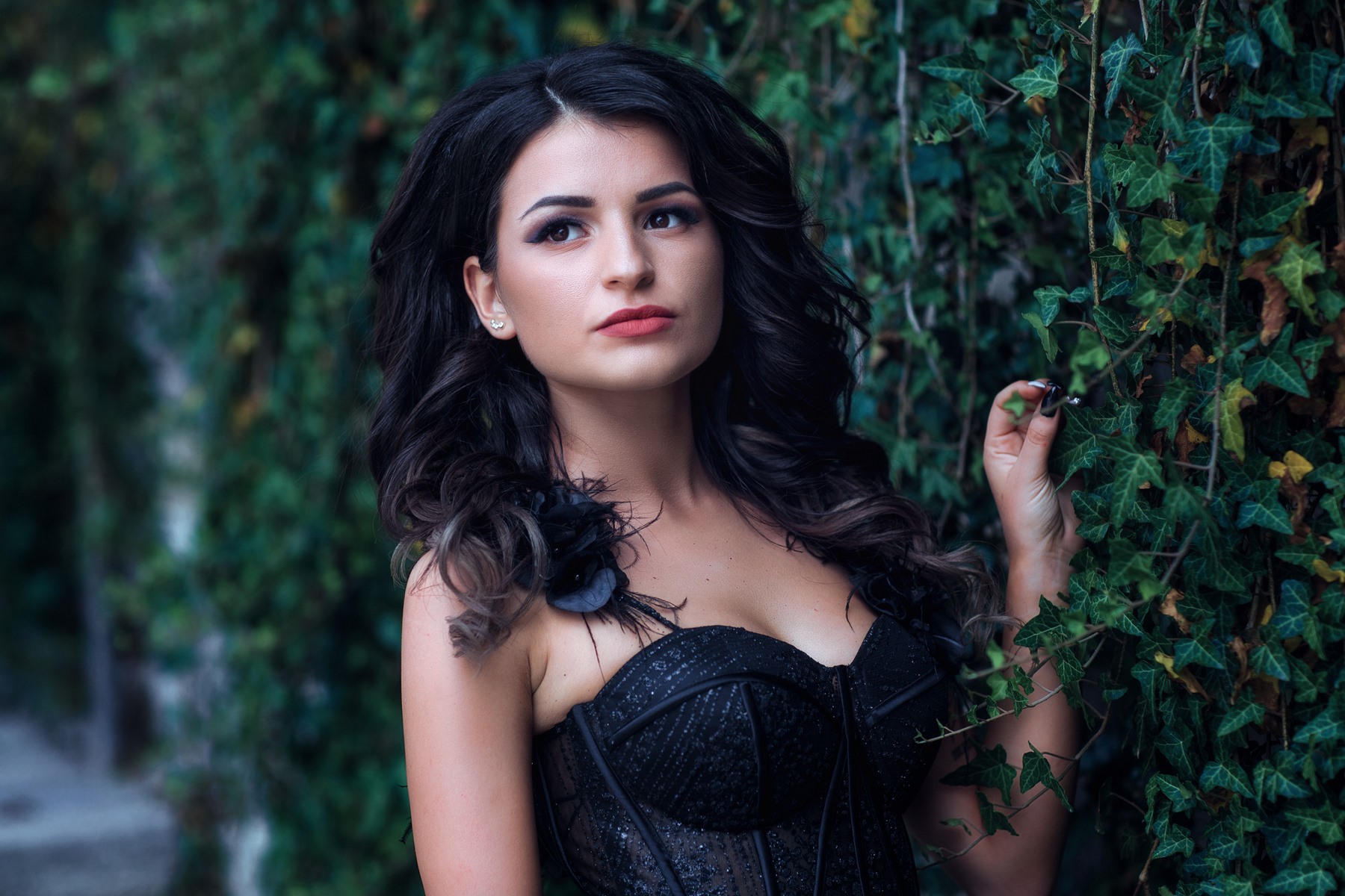 Nikol 4