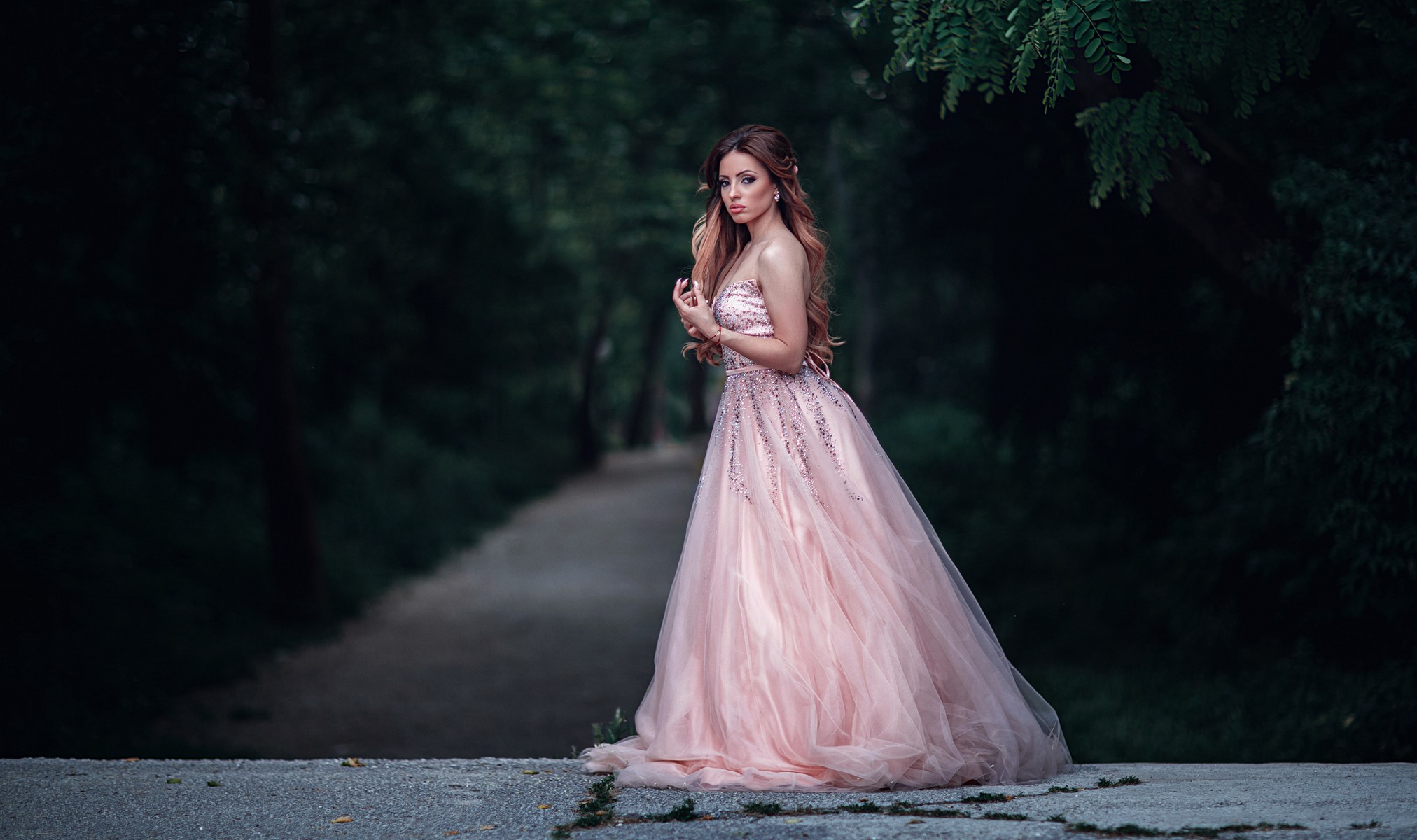 014 Nikol session