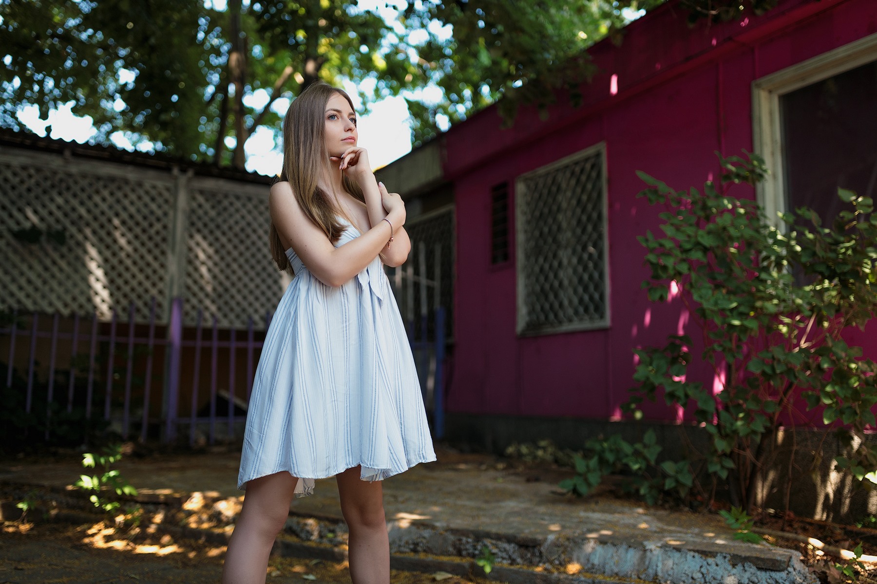 Pink wall 02 2048px